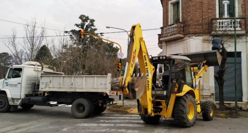 FORESTACIÓN DE ARBOLADO URBANO