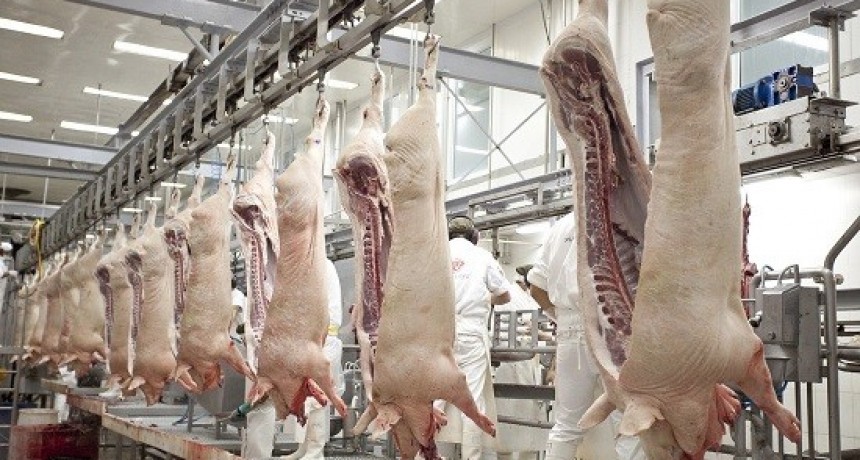 SENASA - LA FUNCIÓN DE LOS VETERINARIOS EN LAS PLANTAS FRIGORÍFICAS