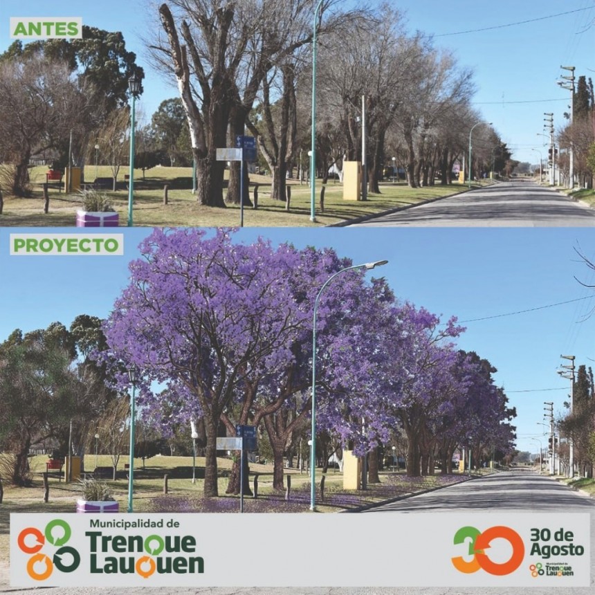PARQUE MUNICIPAL PLAN DE FORESTACIÓN 2020/2023 Y EJECUCIÓN DE OBRAS DEL PLAN DIRECTOR DE DESAGÜES PLUVIALES