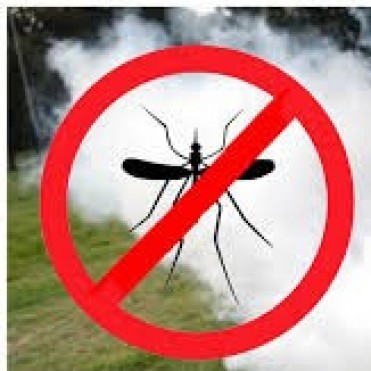 ESTE MARTES REALIZARAN TAREAS DE FUMIGACION EN TODA LA CIUDAD