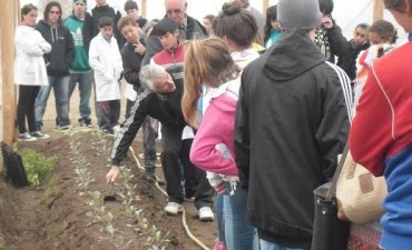 SE REALIZÓ UNA JORNADA DE SIEMBRA Y TRASPLANTE DE HORTALIZAS 