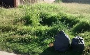 LA MUNICIPALIDAD RECUERDA QUE LA LIMPIEZA DE VEREDAS Y BALDIOS ES RESPONSABILIDAD DE LOS FRENTISTAS