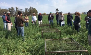 EL INTA LLEVO A CABO UNA JORNADA SOBRE ALFALFA