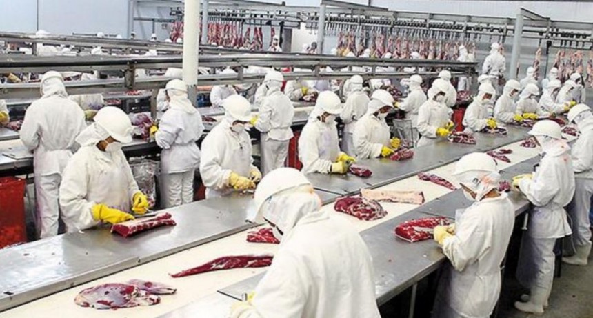 LA UE RATIFICA QUE ARGENTINA TIENE UN SISTEMA CONFIABLE DE EXPORTACIÓN DE CARNES