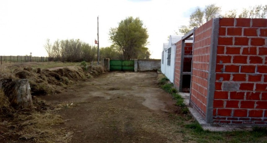 CULMINARON LOS TRABAJOS DE REPARACIÓN DE LAS NICHERAS EN QUENUMÁ