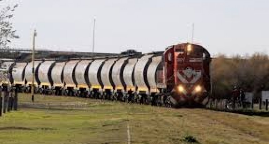 ACCIDENTE EN LAS VÍAS. UN NIÑO RECIBIÓ SERIAS LESIONES AL PASAR UN TREN DE CARGA