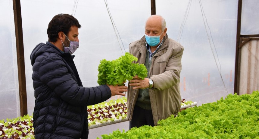 LA UNIDAD PRODUCTIVA HORTÍCOLA CONTINÚA CRECIENDO