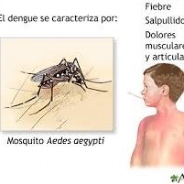 CON UNA CONFERENCIA DE PRENSA INICIAN LA CAMPAÑA DE PREVENCION DEL DENGUE