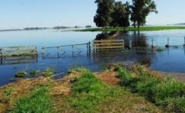 INSCRIPCION POR EMERGENCIA AGROPECUARIA