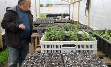 SE CONSTRUYÓ UNA NUEVA PLANTINERA