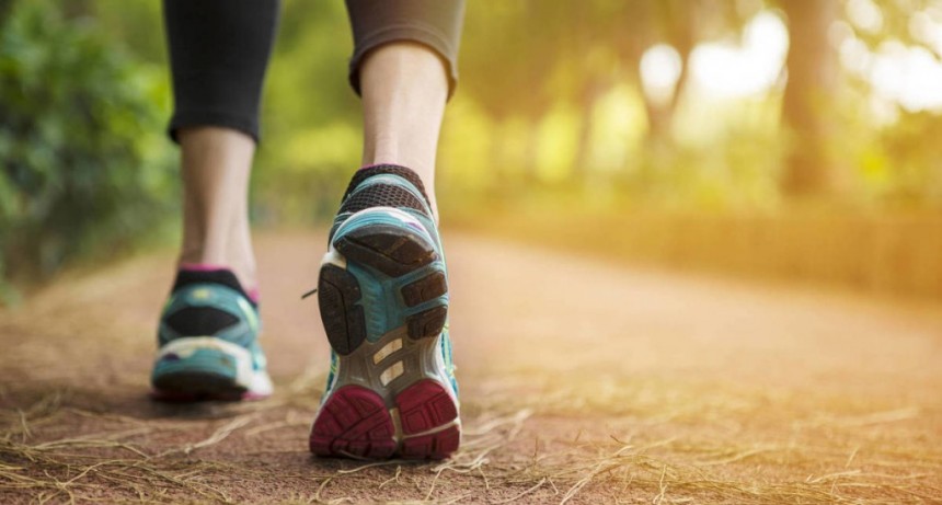 COMIENZA LA INSCRIPCIÓN A LA JORNADA DE MARATÓN POR EQUIPOS Y CAMINATA VIRTUAL