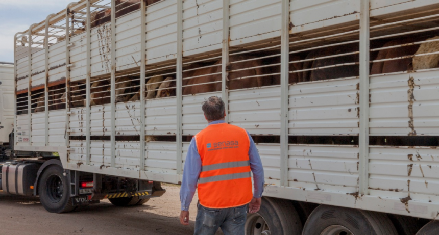 CRECE EL USO DE LA AUTOGESTIÓN EN LA EMISIÓN DEL DT-e PARA EL MOVIMIENTO DE ANIMALES