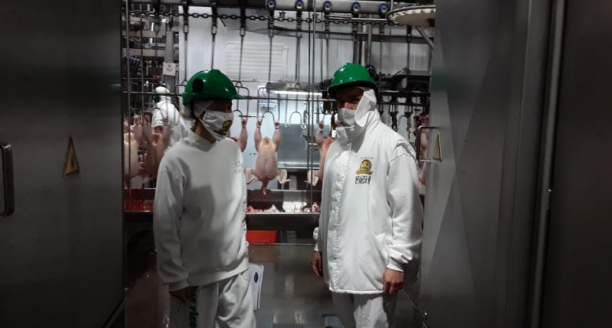 SENASA: INSPECCIONES EN FRIGORÍFICO EXPORTADOR DE LA REGIÓN NORTE BONAERENSE