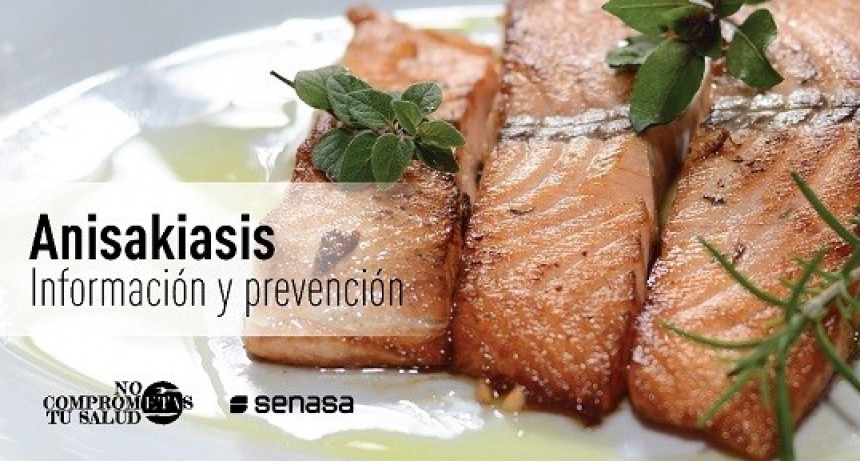 SENASA - ANISAKIASIS: TODO LO QUE HAY QUE SABER PARA PREVENIR ESTA ENFERMEDAD EN PESCADOS