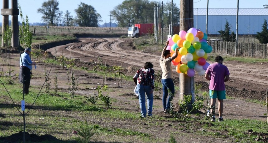 SE PLANTARON LOS ÁRBOLES DE LA JORNADA ECOLÓGICA 