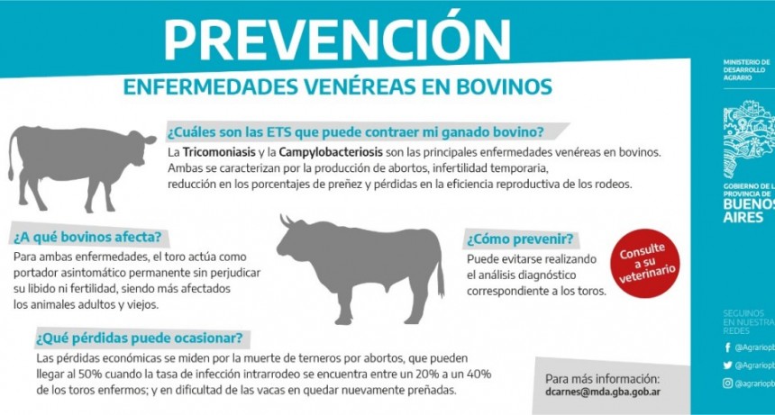 EL MINISTERIO DE DESARROLLO AGRARIO LANZÓ CAMPAÑA JUNTO A 80 MUNICIPIOS PARA PREVENIR LAS ENFERMEDADES DE TRANSMISIÓN SEXUAL EN BOVINOS