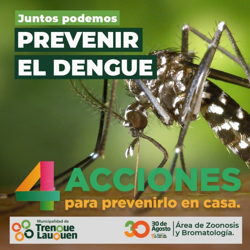EL ENTE DESCENTRALIZADO COMIENZA A REALIZAR ACCIONES PARA PREVENIR EL DENGUE