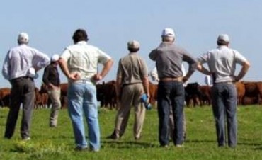 ENCUENTRO GANADERO ORGANIZADO POR EL INTA
