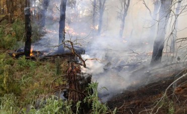 BOMBEROS SE SUMO AL COMBATE DEL FUEGO EN EL MONTE INCENDIADO EN PELLEGRINI