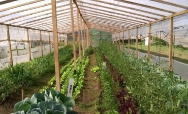 EL VIVERO MUNICIPAL SIGUE CRECIENDO