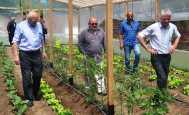 AUTORIDADES VISITARON EL INVERNACULO QUE LLEVA ADELANTE UNA COOPERATIVA DE TRABAJO