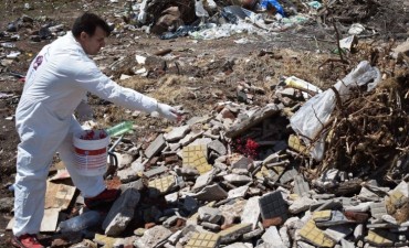 REALIZA TRABAJOS DE DESRATIZACION EN EL BASURERO Y EN EL BARRIO MATADERO