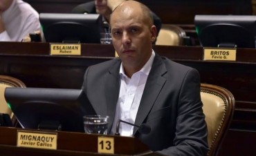 UN DIPUTADO DEL FRENTE RENOVADOR PIDIO POR LA PAVIMENTACION DEL CAMINO TRES LOMAS-PELLEGRINI