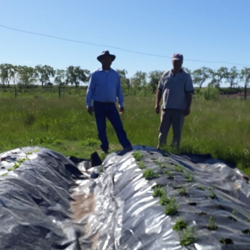 ACOMPAÑAMIENTO DEL ESTADO MUNICIPAL A PRODUCTORES HORTÍCOLAS Y COOPERATIVISTAS