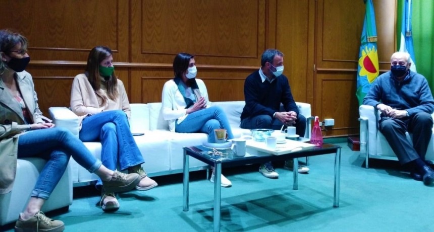 REUNIÓN CON EL DIRECTOR DE ASISTENCIA DE LA SUBSECRETARÍA DE SALUD MENTAL, CONSUMO PROBLEMÁTICO Y VIOLENCIAS EN EL ÁREA DE LA SALUD PÚBLICA