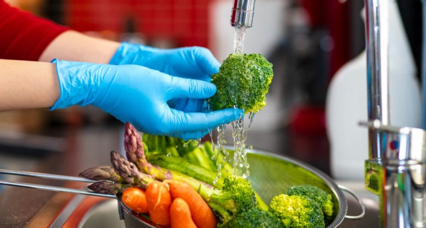 CURSO DE MANIPULACIÓN DE ALIMENTOS