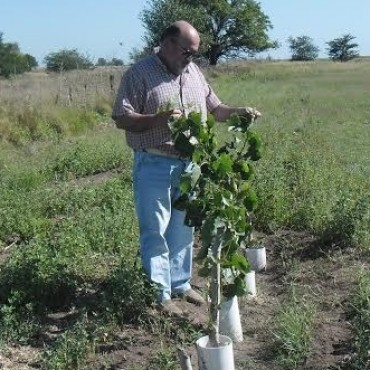 AVANZA A BUEN RITMO EL VIVERO MUNICIPAL