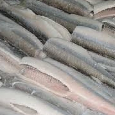 ENTREGAN MICROEMPRENDIMIENTO PARA TRASLADO DE PESCADO