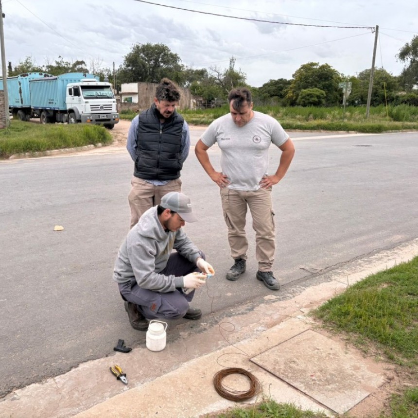 MONITOREO DE ROEDORES EN BOCAS DE TORMENTA