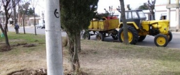 DESARMARON LA PLACITA DE BARRIO NORTE