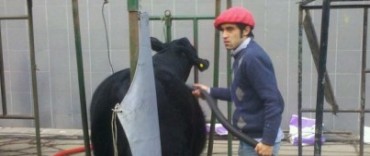 LA CABAÑA ENE MAITEA EN PALERMO 2012