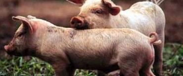 LA MUNICIPALIDAD DE SALLIQUELO DESMINTIO LA INFORMACION DEL MINISTERIO Y ASEGURA QUE LOS OPERATIVOS SE REALIZARON EN TRES LOMAS