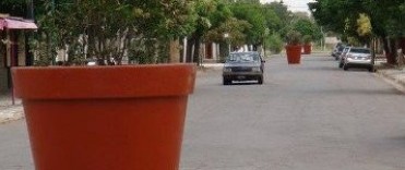 LAS MACETAS NO VUELVEN 