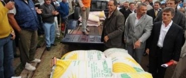 Plan Ganadero - ENTREGAN SEMILLAS A PRODUCTORES