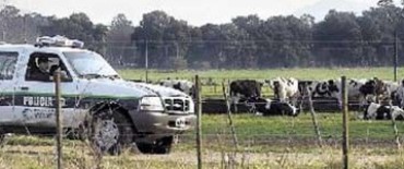 UN HOMBRE SE QUITO LA VIDA