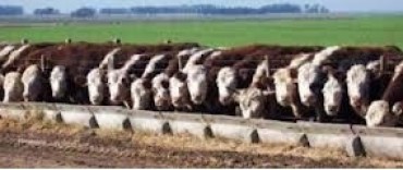 CHARLA DEL IPCVA Y CARBAP EN LA EXPO RURAL