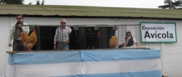 EXPO 2012 - RESULTADOS DE LA EXPOSICION AVICOLA