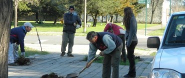 LLEVAN ADELANTE UN PLAN DE REFORESTACION URBANA