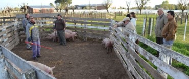 SE ENTREGARON DOS NUCLEOS PORCINOS 