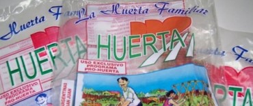 ENTREGAN SEMILLAS PARA HUERTAS DE PRIMAVERA-VERANO