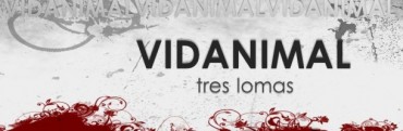 SE CREO UNA FILIAL DE LA FUNDACION 'VIDANIMAL'