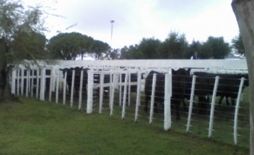 ARRANCO LA EXPO TRES LOMAS 