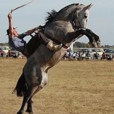 “HEMOS TRATADO DE TRAER LO MEJOR PARA LA JINETEADA”