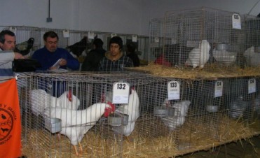 EXPO AVICOLA EN ARROYO VENADO