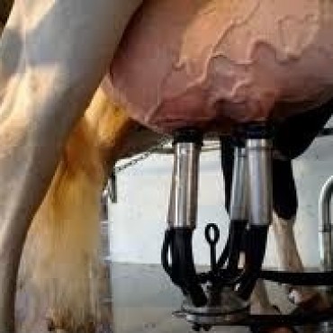 LA ESCUELA AGROPECUARIA REINAUGURA UN TAMBO