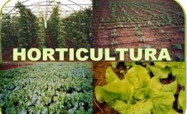 ORGANIZAN CHARLA SOBRE HORTICULTURA